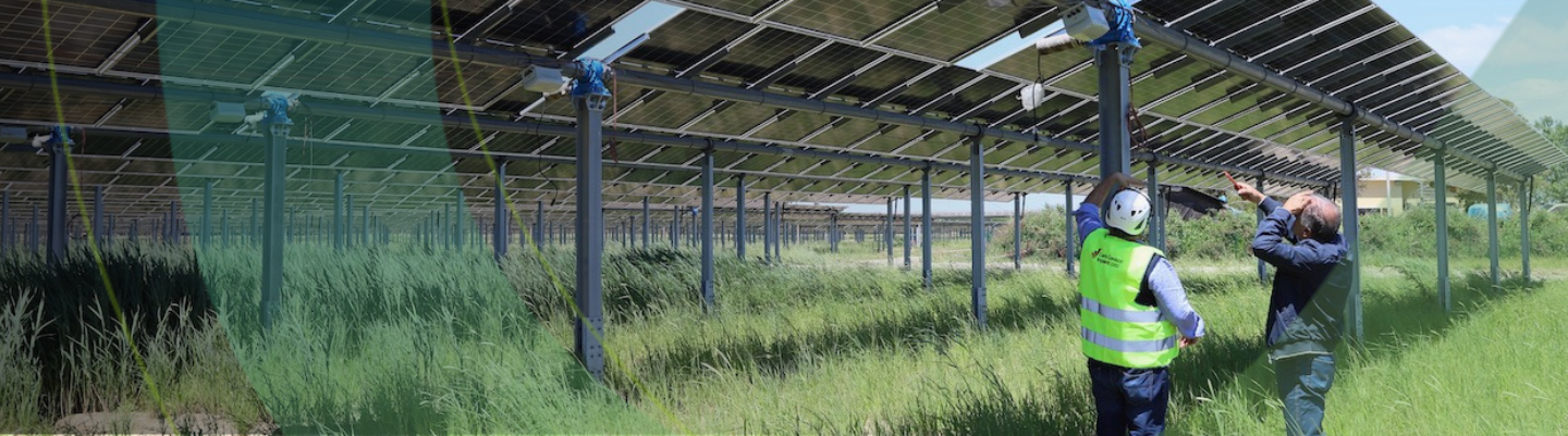 agrivoltaico sorgenia